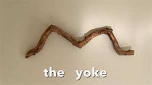 The Yoke 300x170